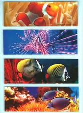Segnalibro pesce pagliaccio