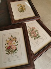 N ° 3 Quadri  stampe fiori con cornice arte povera