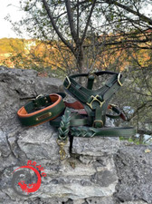 Imbracatura per cani in pelle di lusso e collare imbottito regolabile personalizzata imbracatura per animali domestici in pelle