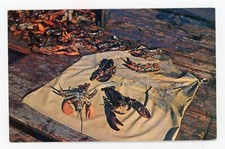 Cartolina d'epoca animali