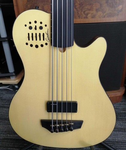 Chitarra elettroacustica godin - chitarra,