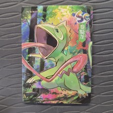 Keckleon PM-SC n.019
