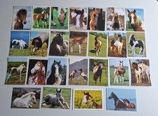 25 cartoline cavalli assegni