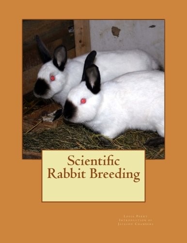 Scientific rabbit - scientific,