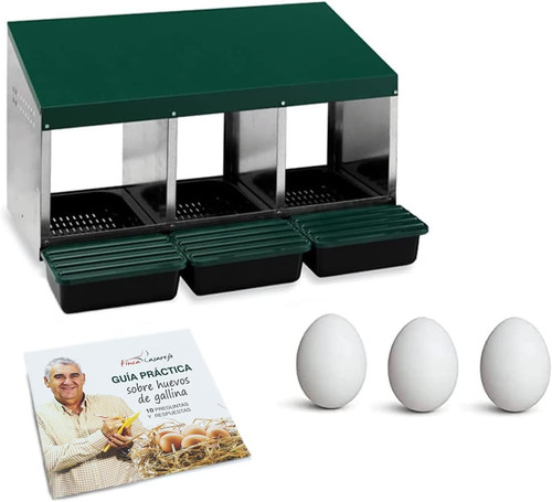 Nido per galline scomparti - galline, 3