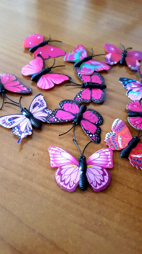 Farfalle piccole non - farfalle, adesive