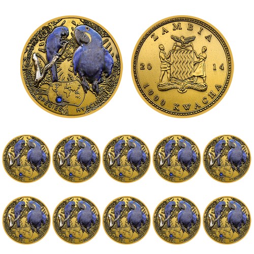10pcs zambia hyacinth - 10pcs,