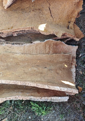 5kg corteccia sughero non - corteccia, di