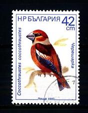 BULGARIA - 1987 - Frosone (Coccothraustes coccothraustes)