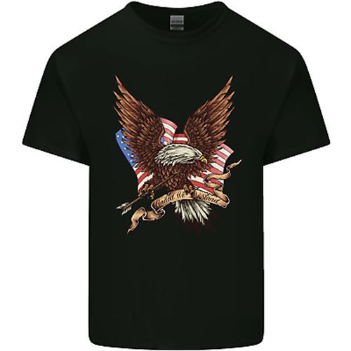 Usa aquila bandiera america - bandiera,