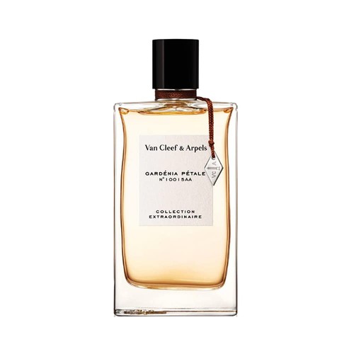Profumo unisex uomo - , van