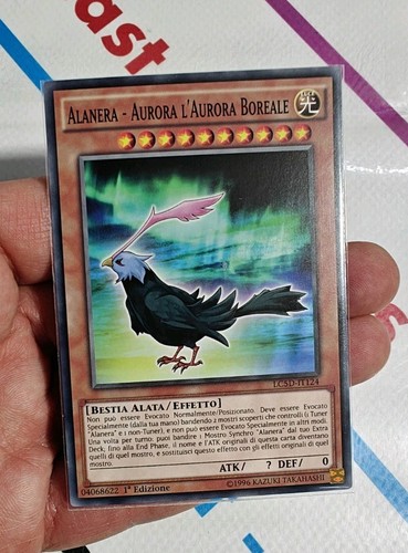 Alanera aurora - alanera,
