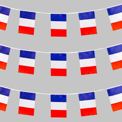France bunting bandiere - france, 10