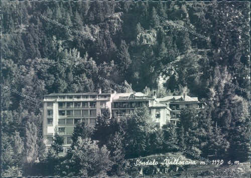 D569 cartolina provincia - -cartolina,