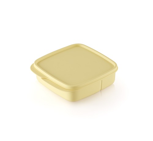 Tupperware scatola porta - scatola,