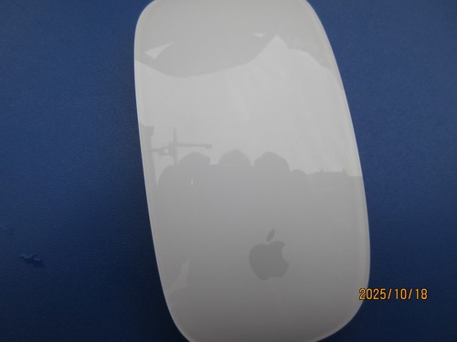 Apple magic mouse bluetooth - magic,