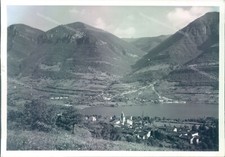 o682 bozza fotografica spinone provincia di bergamo