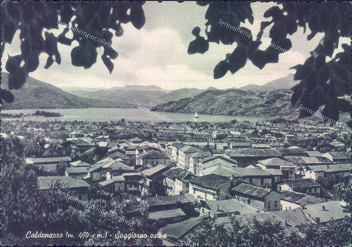 O719 cartolina caldonazzo - cartolina,