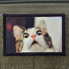 Patch gatto scioccato morale