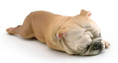 Bulldog francese cane animale