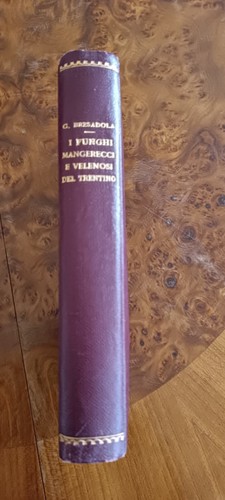 Micologia trentino funghi - micologia,, trentino,