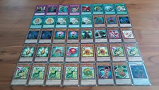 Yu-Gi-Oh Naturia Deck - 40