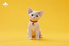 JXK 1/3 Devon Rex 2.0 Modello