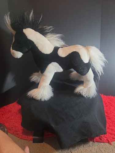 Douglas gypsy vanner horse - douglas,