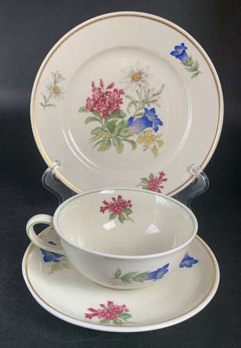 Antica tazza collezione in - da,