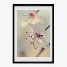Tulup picture mdf framed wall - tulup,