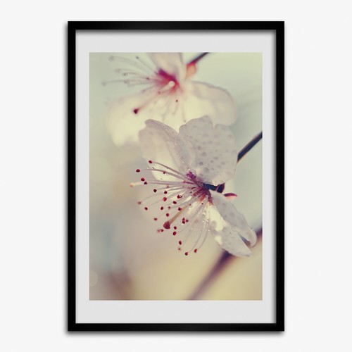 Quadro tulup mdf incorniciato - quadro,