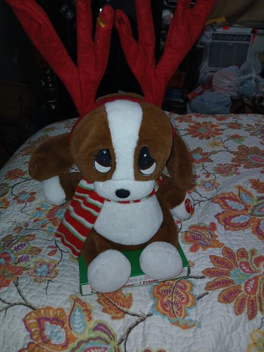 Collezione sad sam miele - e,