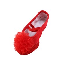  1 paio di scarpe da ballo con