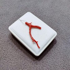 Ramo di corallo rosso-perline