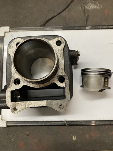 Mutt herald bullit pulse - herald,