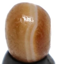 Antica medicina antica Rami