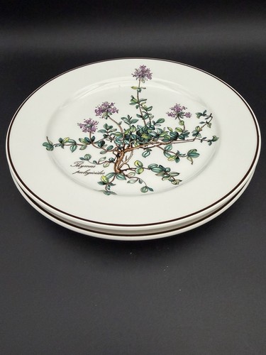 Villeroy boch botanica - villeroy, boch,