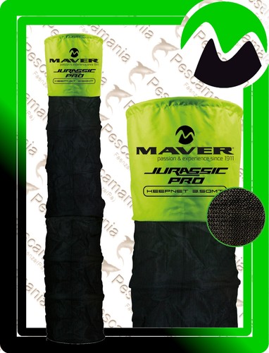 Nassa maver jurassic mt - nassa,