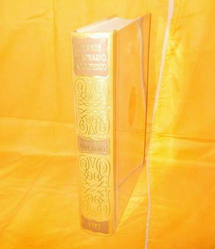 Grande dizionario - grande,