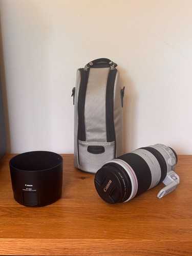 Canon 100 400mm 5 - 100-400mm, f/4.5-5.6l