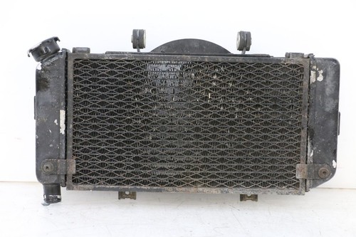 Radiatore yamaha tdm - -, 900