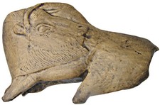 Bisonte della Madeleine senza