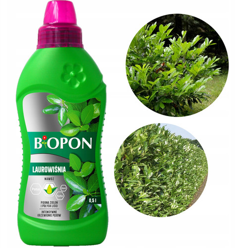 Concime lauroceraso liquido - concime,