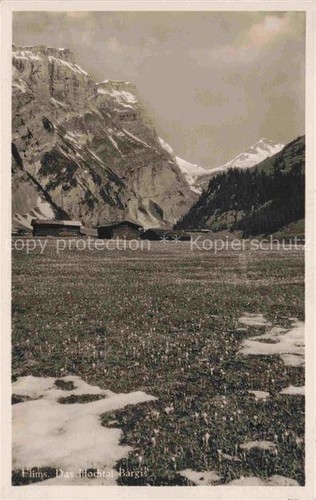 Flims das hochtal bargis - hochtal,
