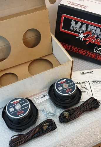 Pioneer altoparlanti magnum - pioneer,