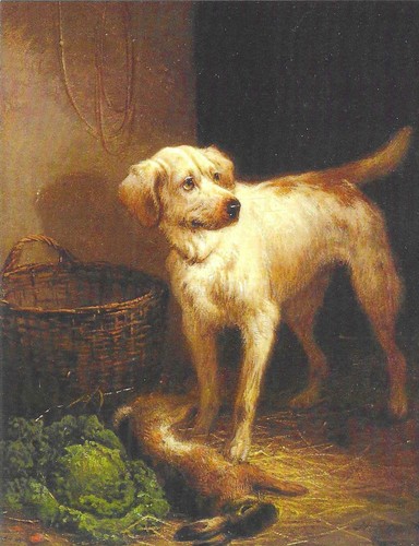 Nuova cartolina cani - nuova,