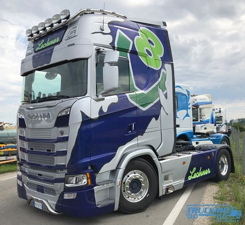 Decalcomanie truckmo lechner - decalcomanie,