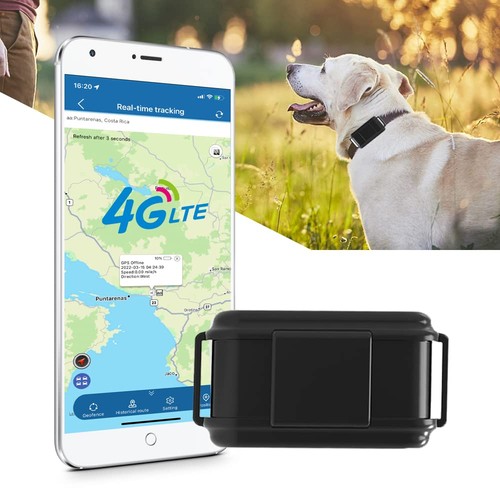 Collare gps per cani da - 4g,