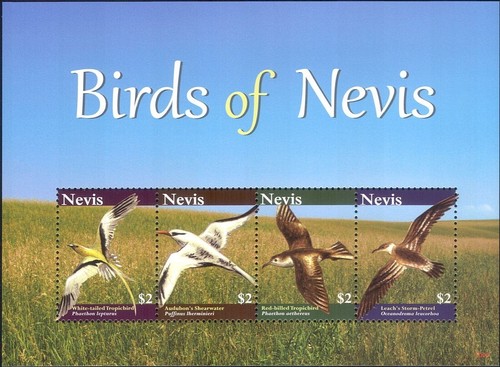 Nevis 2010 acqua - nevis,