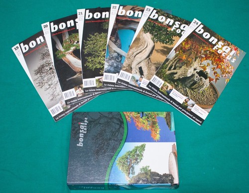 Bonsai focus rivista - focus, di